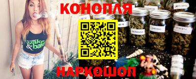 прущие грибы Абакан