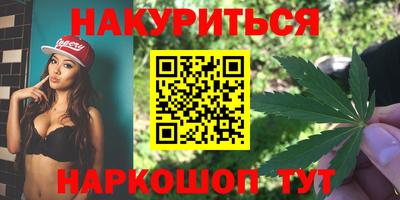 прущие грибы Абакан