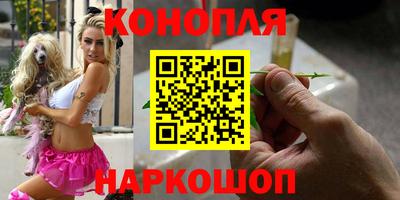 прущие грибы Абакан