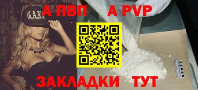 прущие грибы Абакан