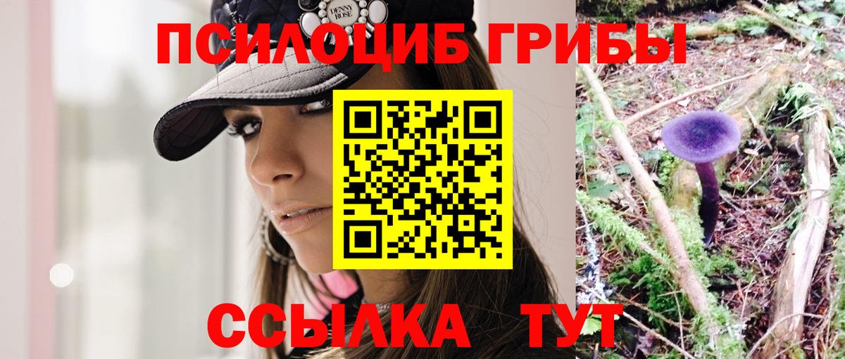 где продают   Псилоцибиновые грибы Psilocybine cubensis  Вход с VPN  Анапа 